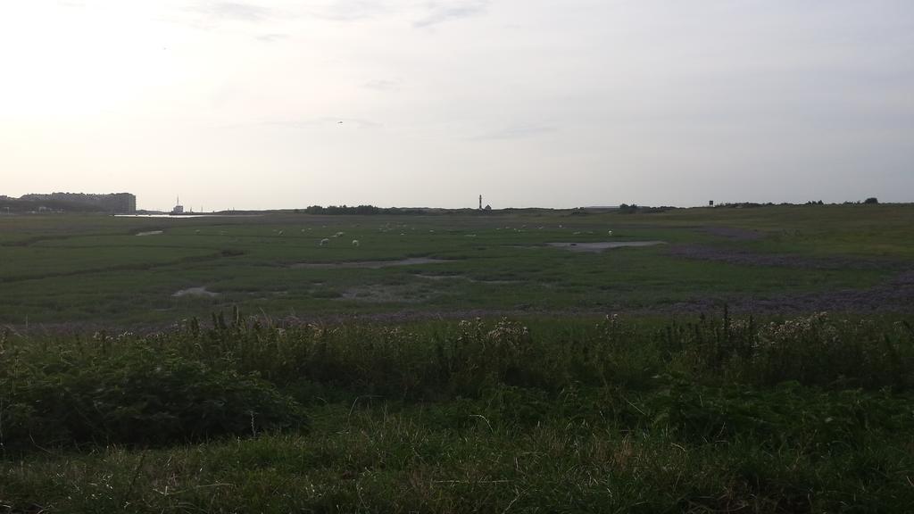 Vakantieverblijf Strandgaper Oostduinkerke Eksteriør billede